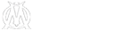 Logo-Light